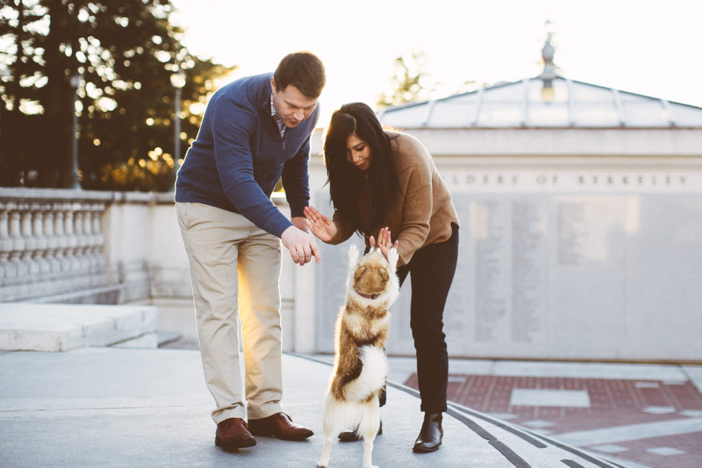 Couple engaged and playing with their small tan and white dog