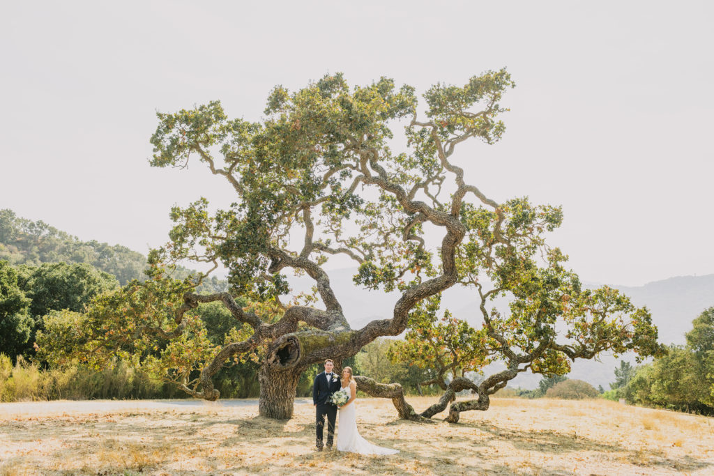 Couple in front of the low oak tree at Holman Ranch