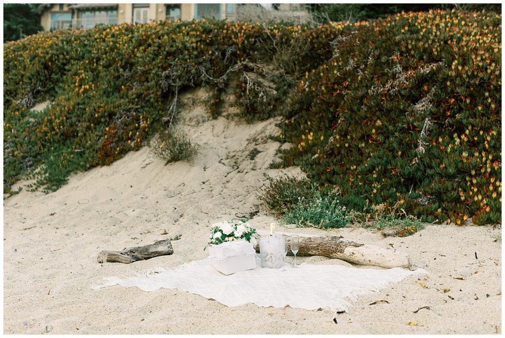 Romantic Beach Picnic Proposal